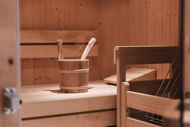 Studio Wellness | Large terrace, private sauna, panorama view — accommodation at Wellness Aparthotel Panorama Alpin und Pitztal Living, Jerzens im Pitztal — photo 5 of 10