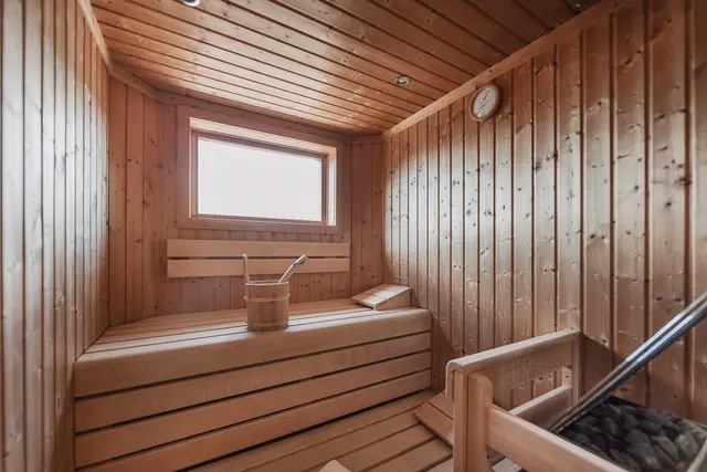Studio Wellness | Large terrace, private sauna, panorama view — accommodation at Wellness Aparthotel Panorama Alpin und Pitztal Living, Jerzens im Pitztal — photo 7 of 8